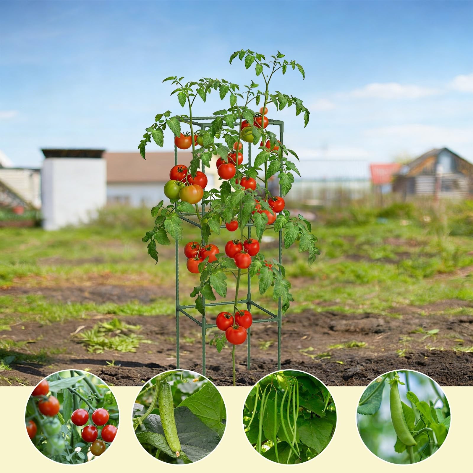 3-Pack Square Tomato Cages, 47.2″ Tall Heavy-Duty Plant Support with 11mm Thi…
