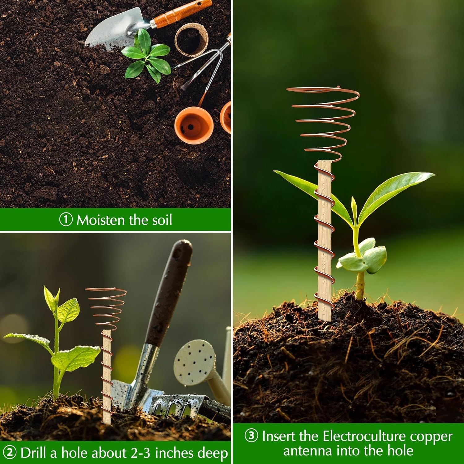 Complete Electroculture Gardening Set: Copper Antenna Kit for Healthier Plants