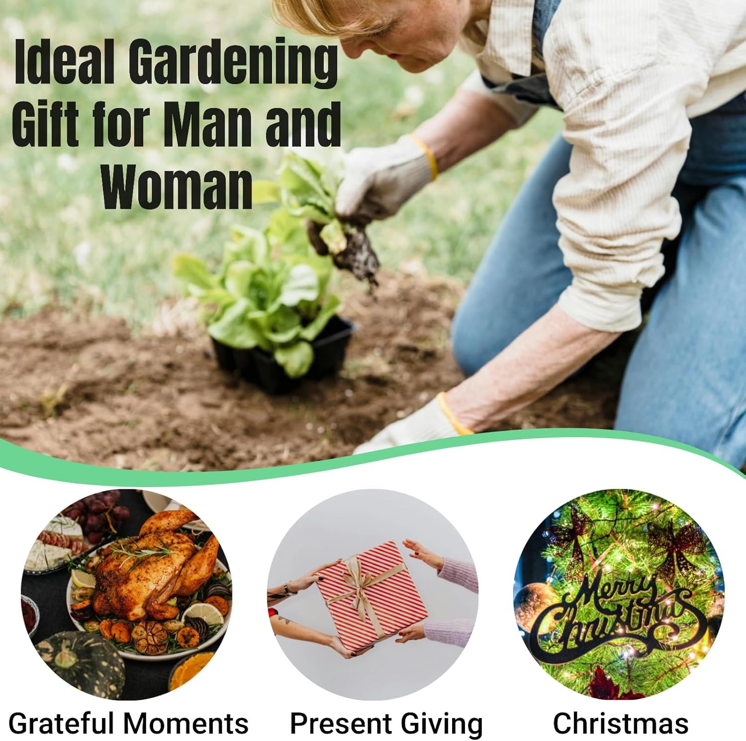 6Pcs Stainless Steel Garden Tools Shovel Trowel Pruner Gift For Men Women