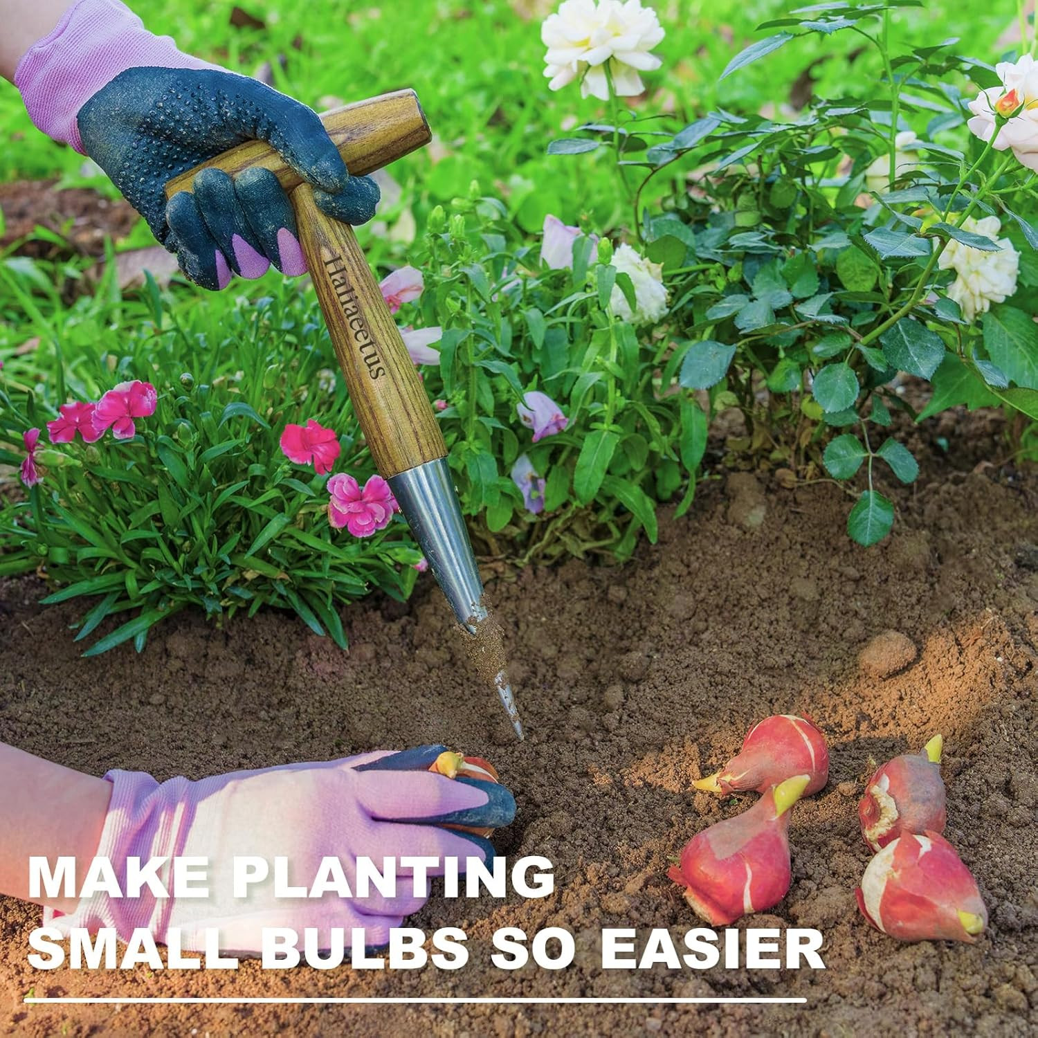 Plantador manual de acero inoxidable con mango de madera en T para semillas
