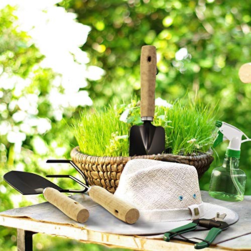 8-Piece Garden Hand Tool Set – Canvas Tote Gardening Tool Kit with 7 Piece