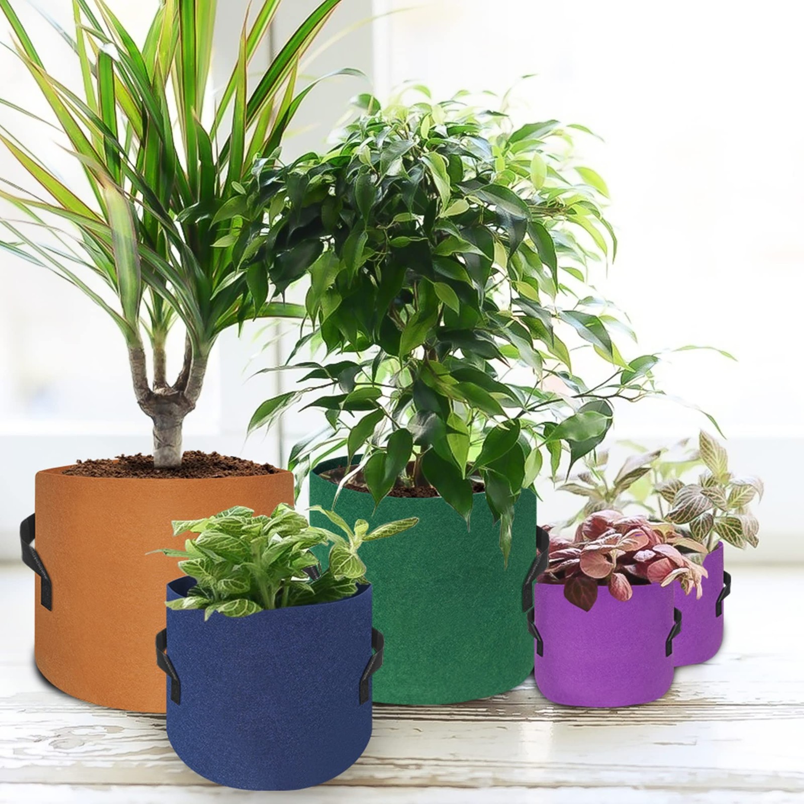 HAOWIN 400G Thickest 7-Pack Colorful Plant Grow Bags, Fabric Pots 10 Gallon 7…