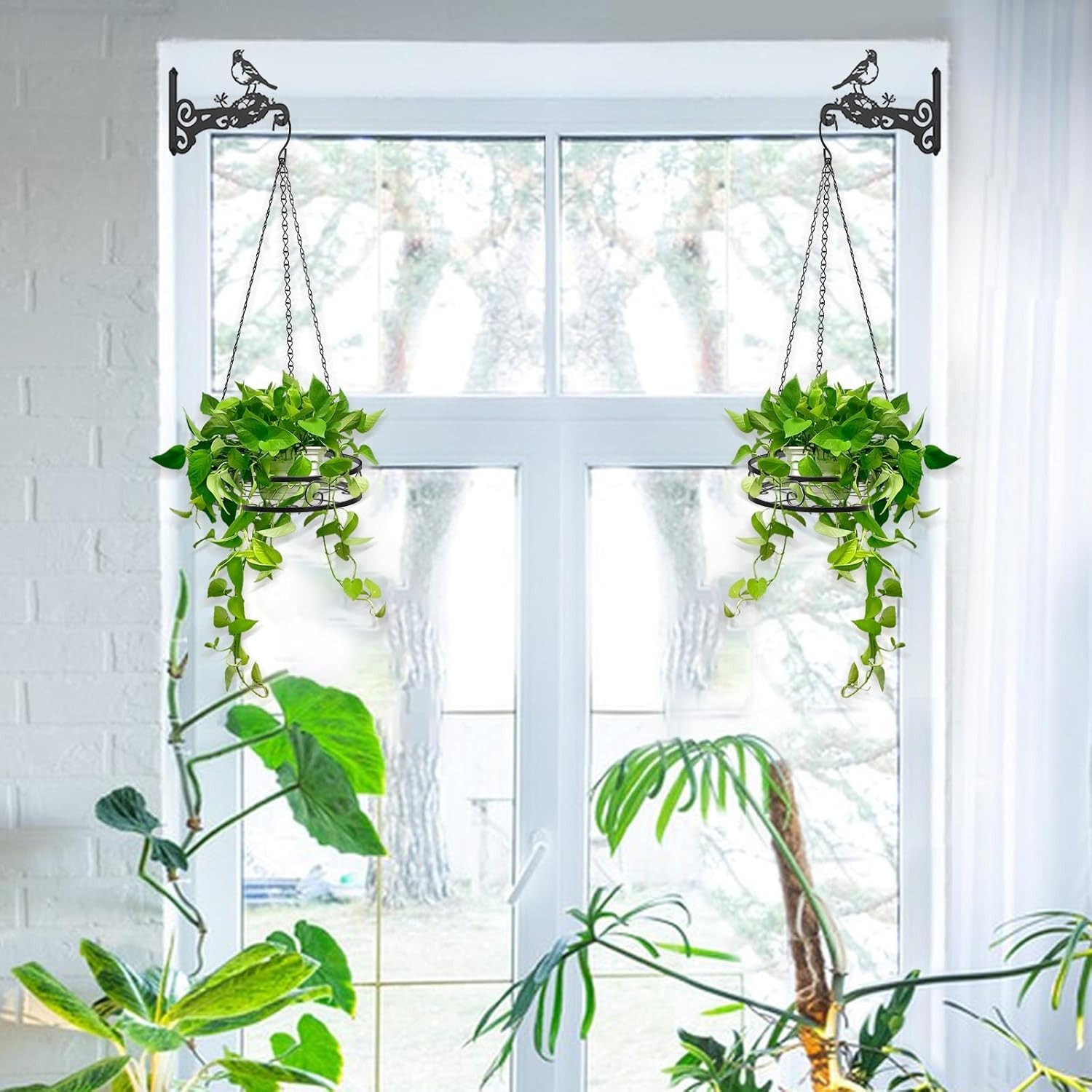 2-Pack Hanging Planters for Indoor Plants – Heavy Duty Metal Plant Hanger Indoor