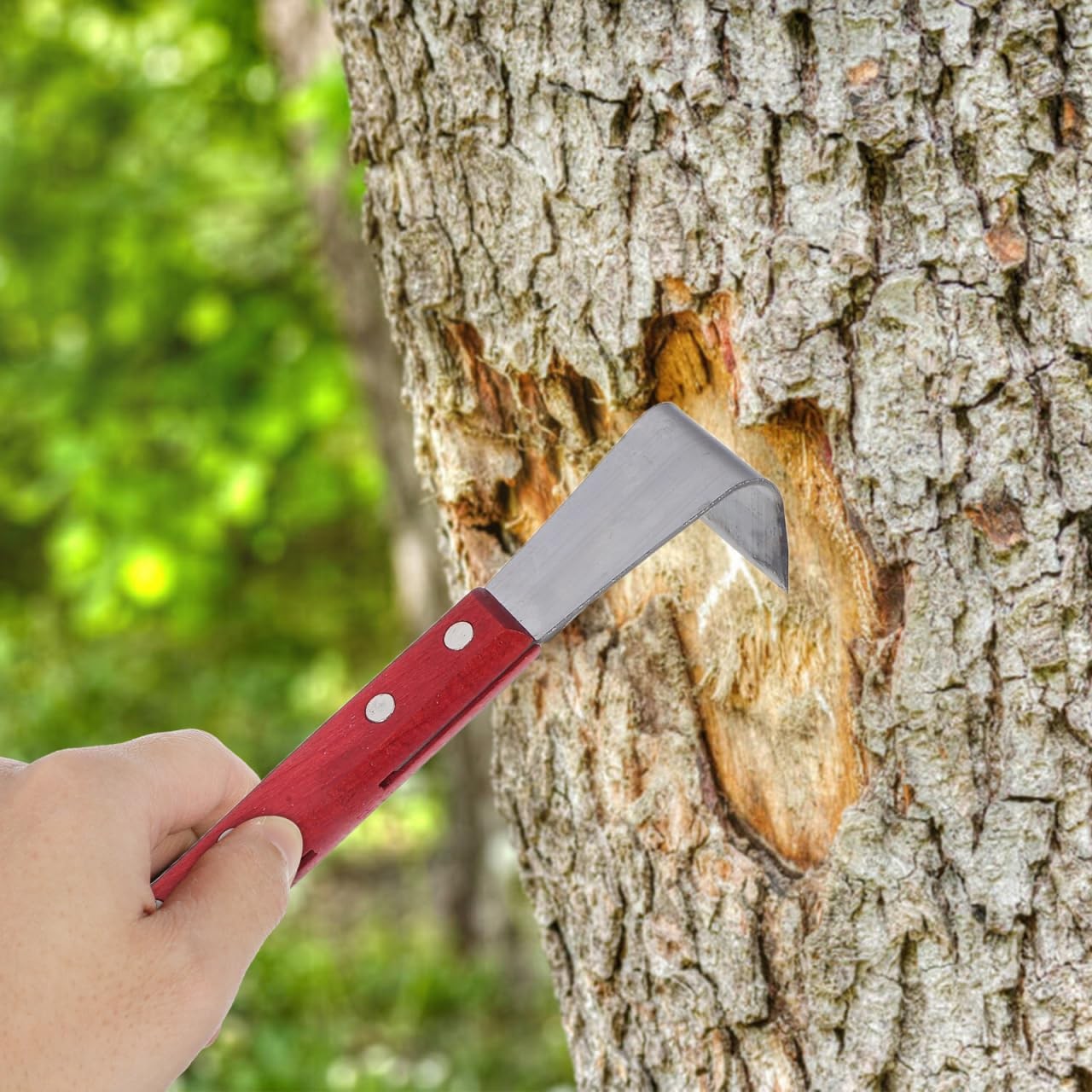 Gardening Bark Scraping Tool, Tree Bark Removal Tool with Wooden Handle for G…