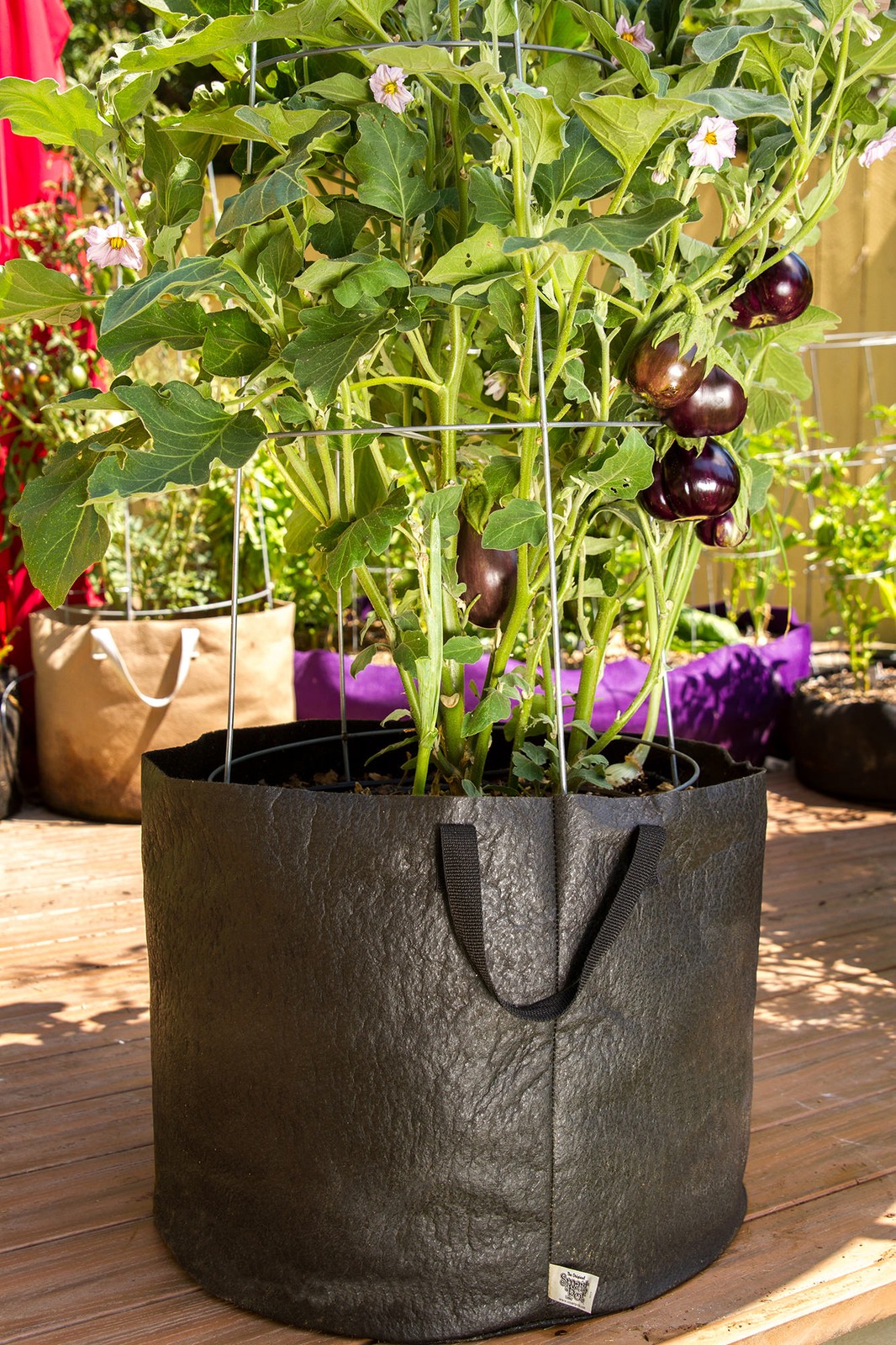 Smart Pot Fabric Planters – Breathable Heavy Duty Grow Bags for Vegetables,