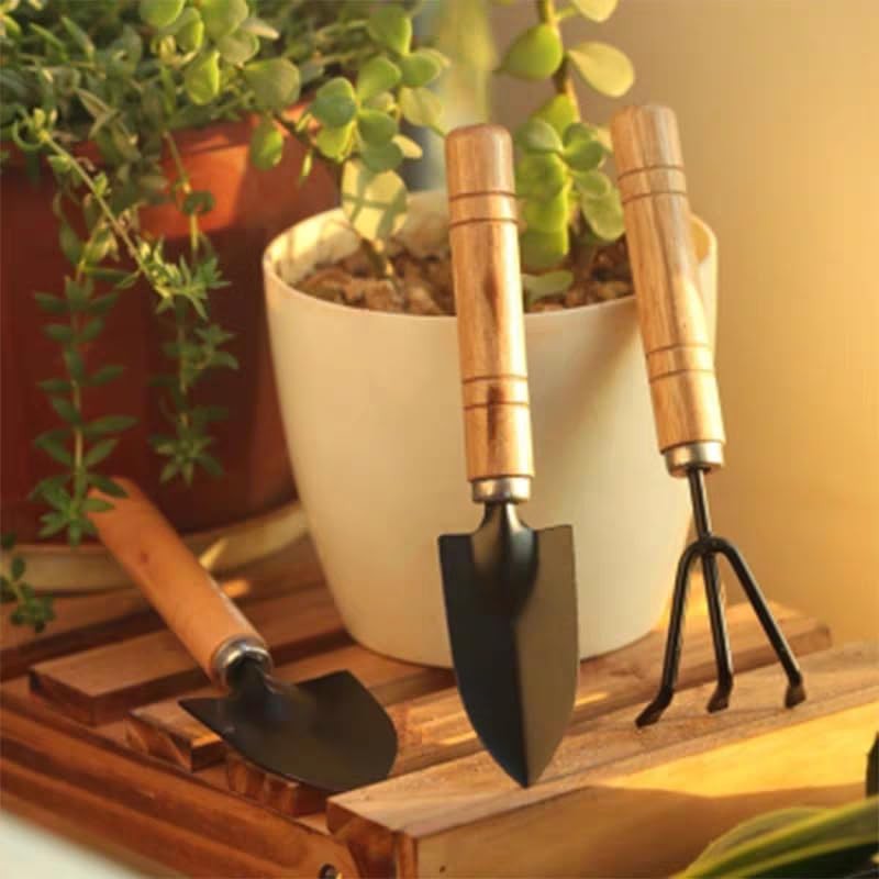 Mini Gardening Tool Set – 3PCS Hand Shovel, Rake, Spade with Wooden Handle – …