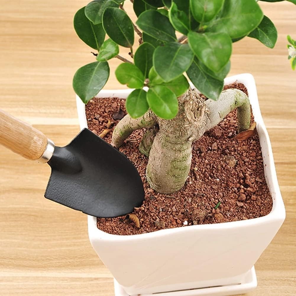 Garden Tool Set for Indoor Plants, 3 Pieces Portable Mini Gardening Kit Inclu…