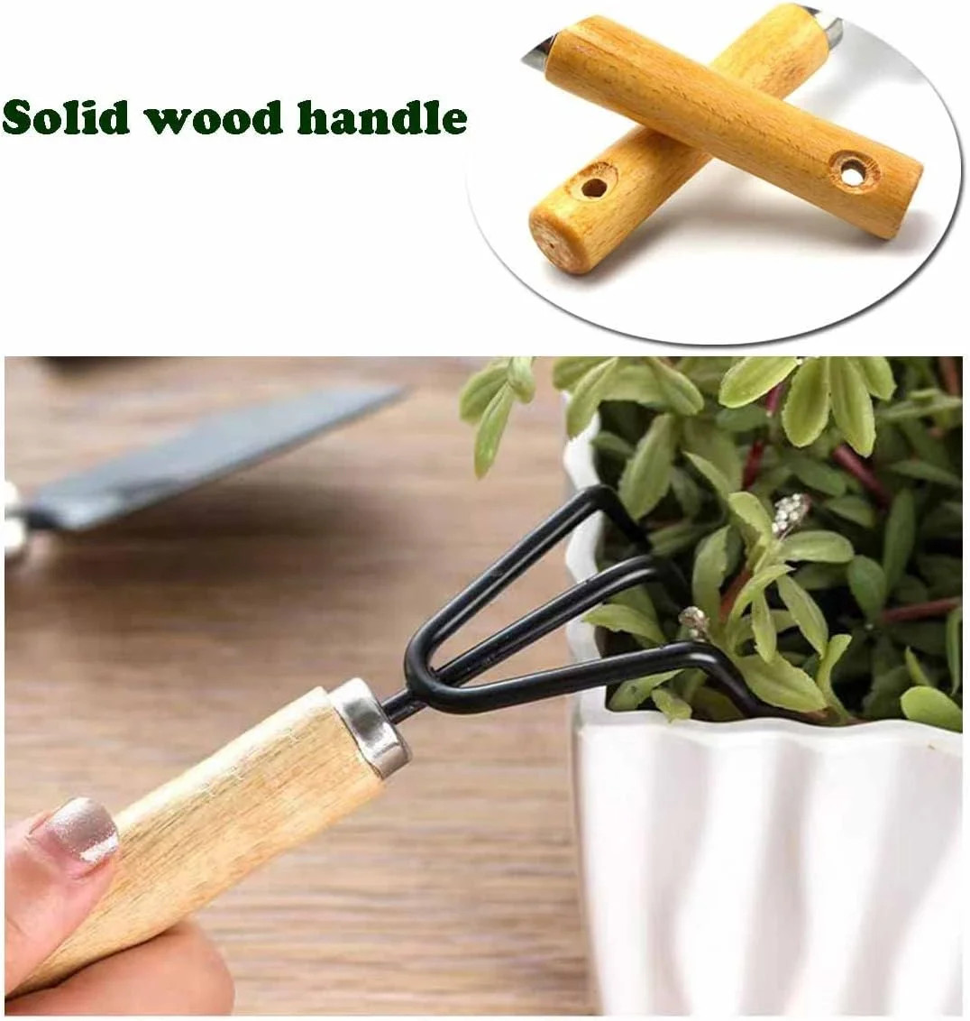 Conventional Garden Tools Minimalism Gardening Tool Set with Wood Handle, Succul