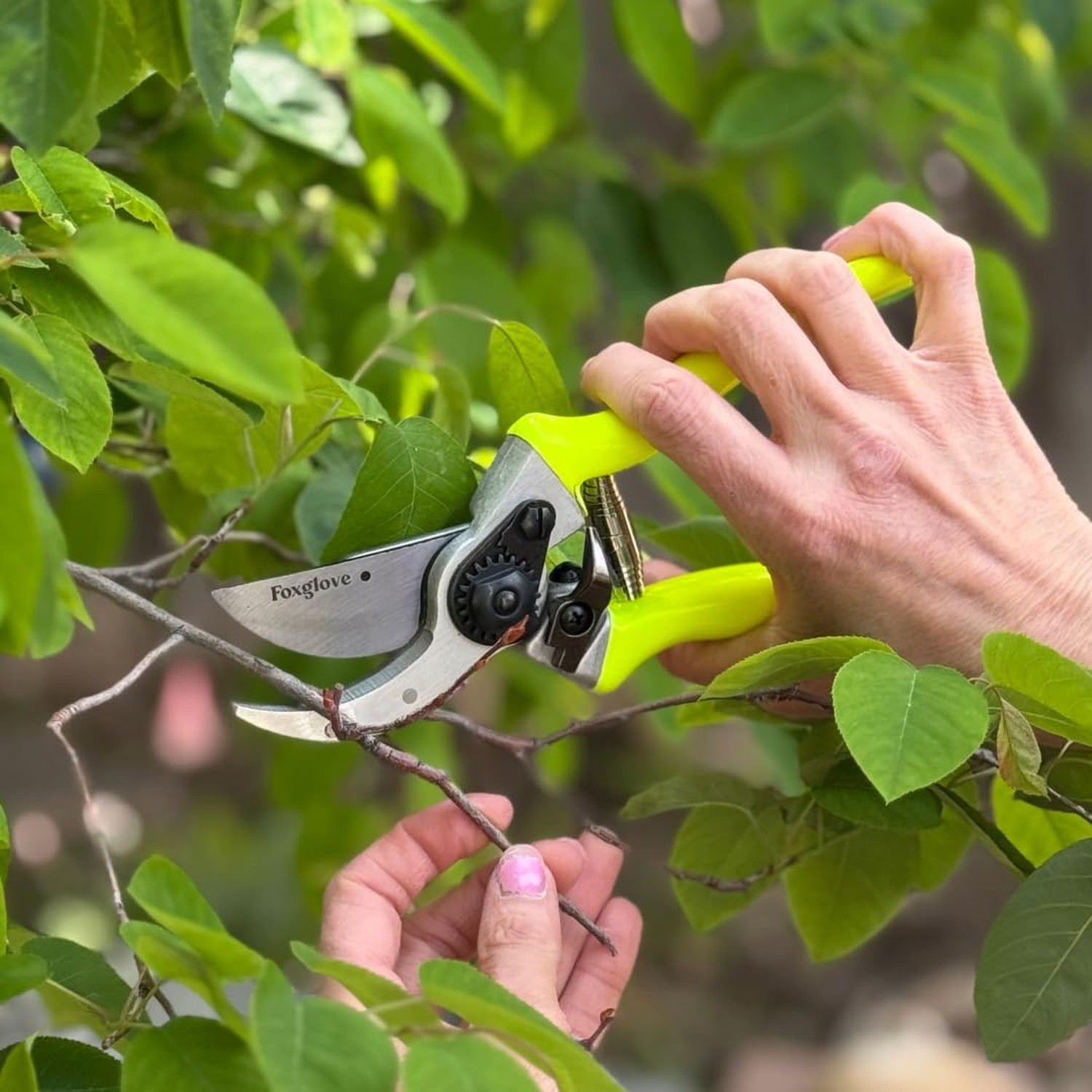 Foxglove Pruning Shears – Professional Garden Shears & Bypass Hand Pruners