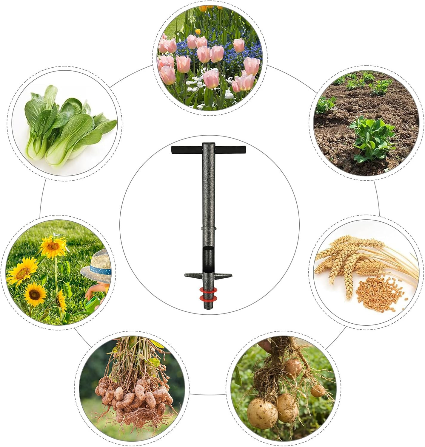 Bulb Weed Planter with 33.5″ Long Handle Tools for Soil Planting Weed Dig Hole