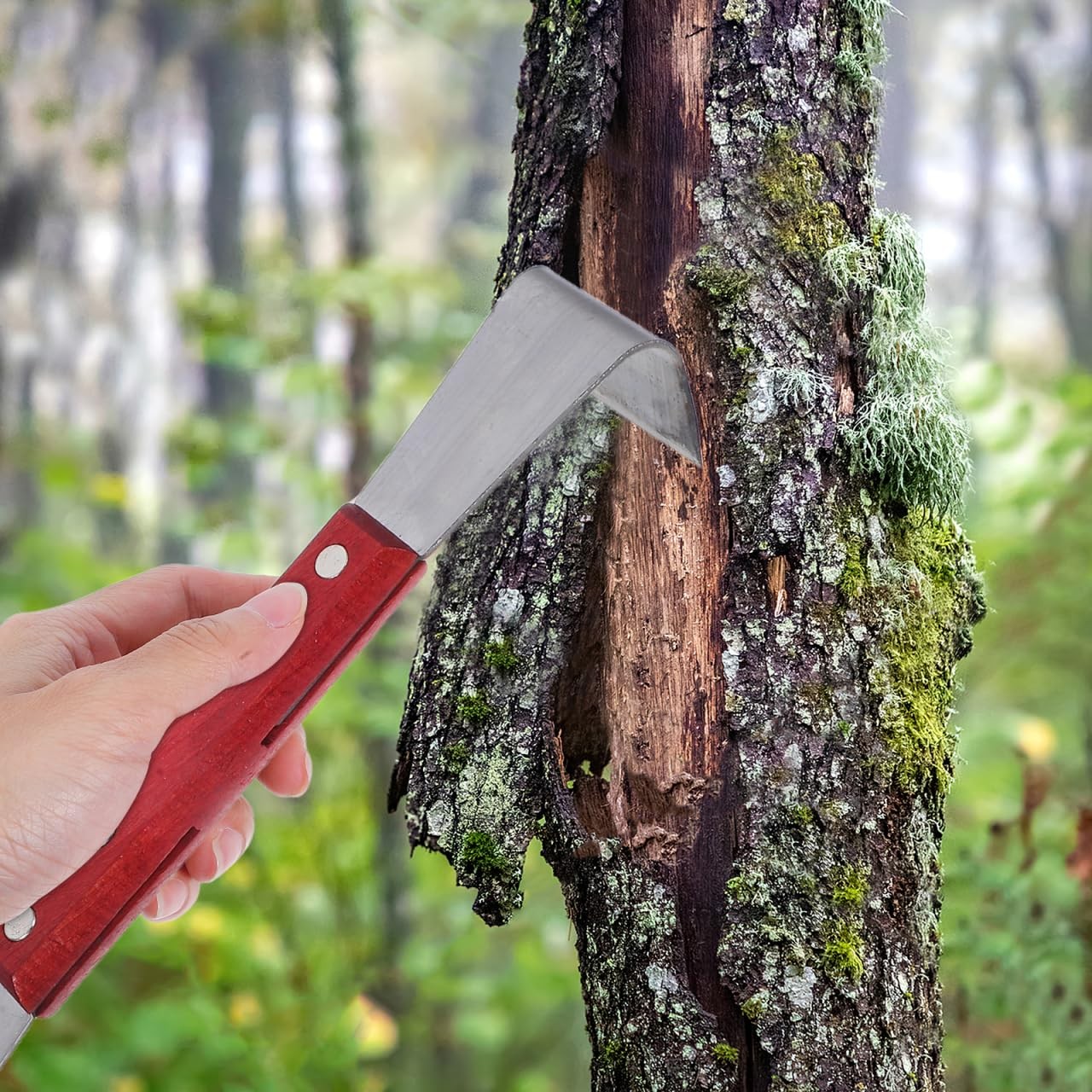 Gardening Bark Scraping Tool, Tree Bark Removal Tool with Wooden Handle for G…