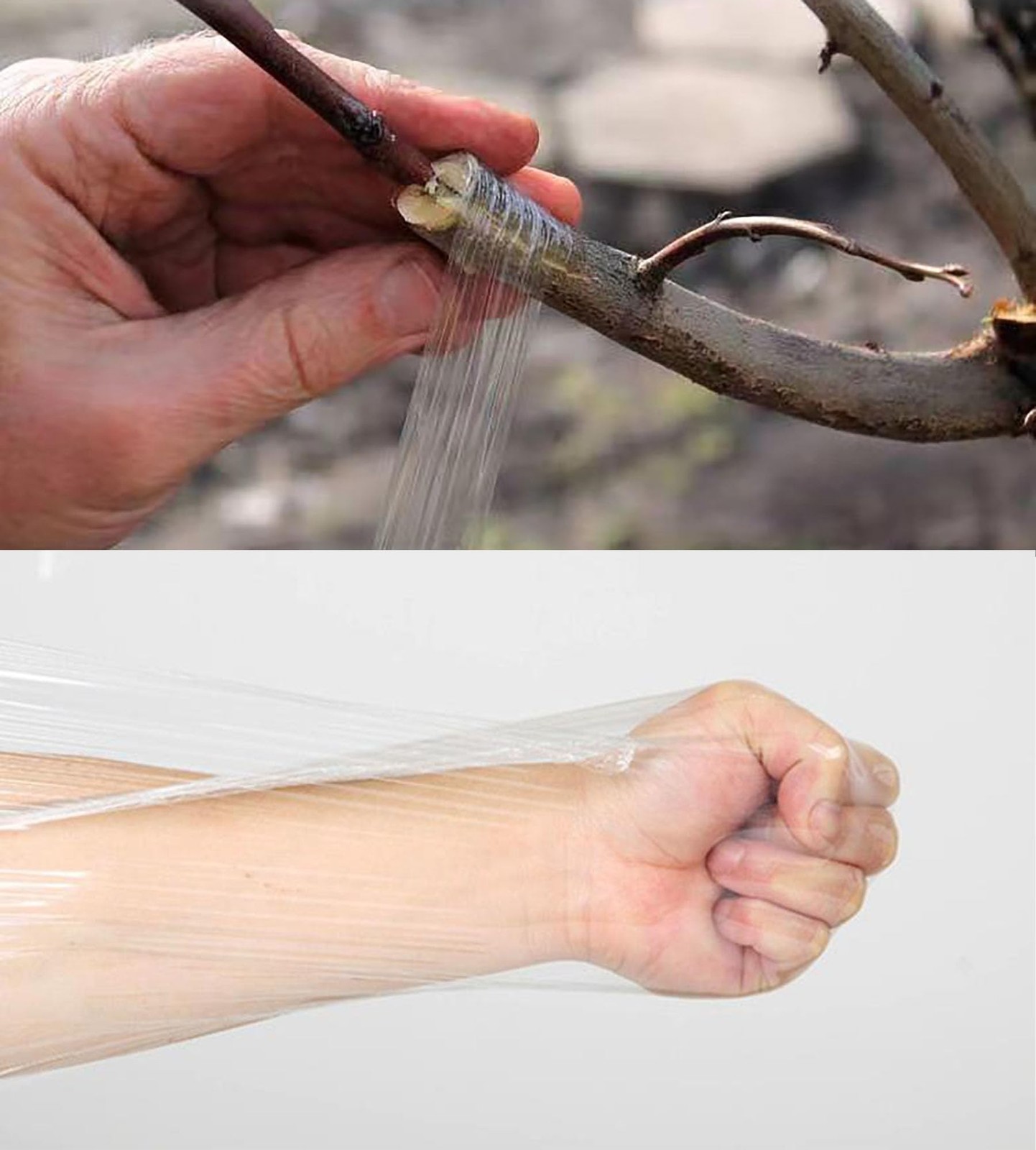 1.2inch Grafting Tape for Floral Fruit Trees Stretchable Garden Grafting Tape