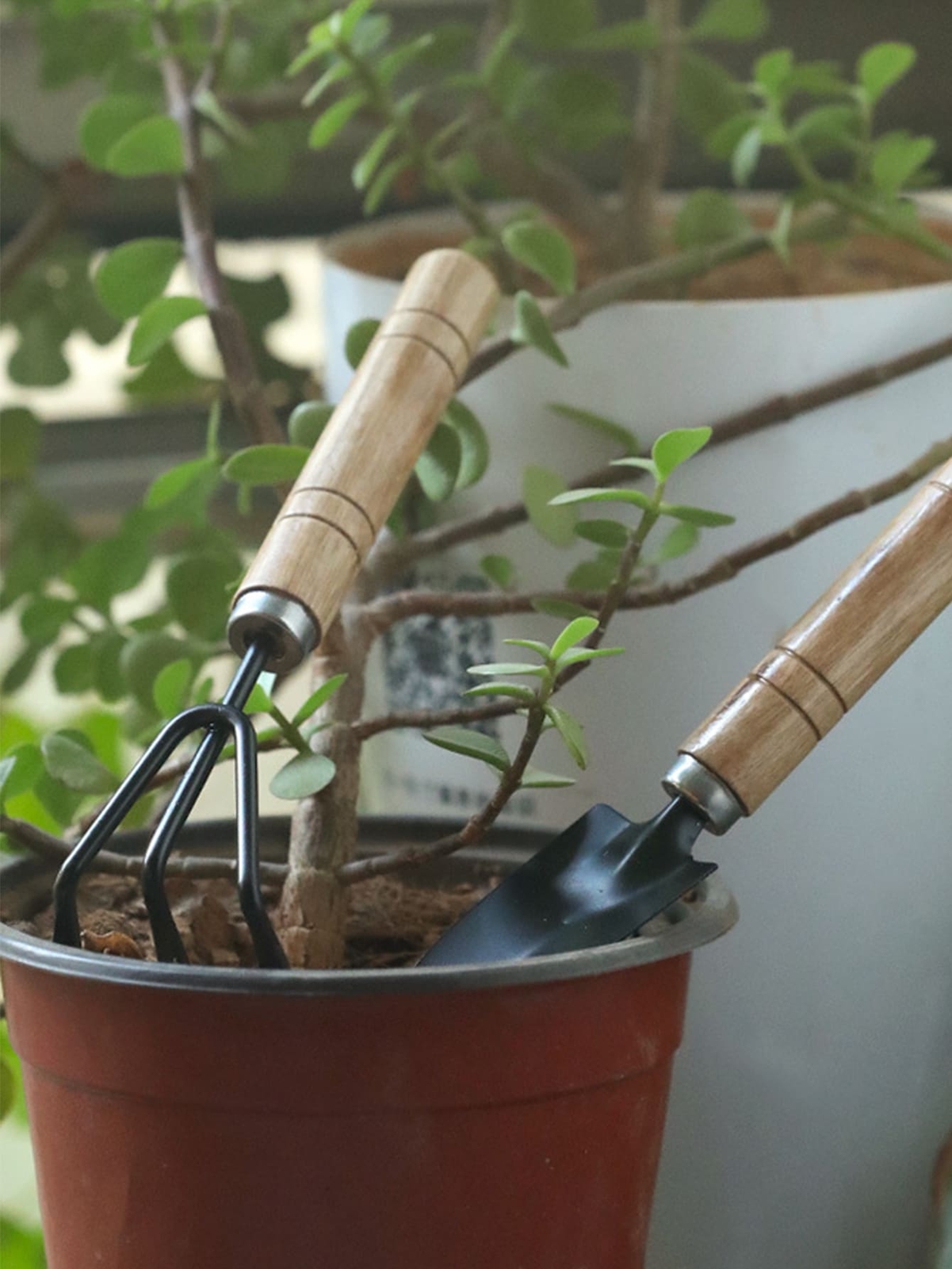 3pcs Garden Mini Tool Set Shovel Rake for Plants Hand Tools Set