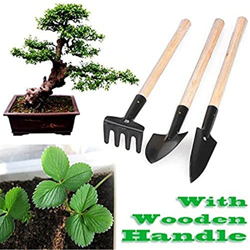 6 Pcs Garden Tools Mini Gardening Kit Plant Potted Flower Gadget Wooden