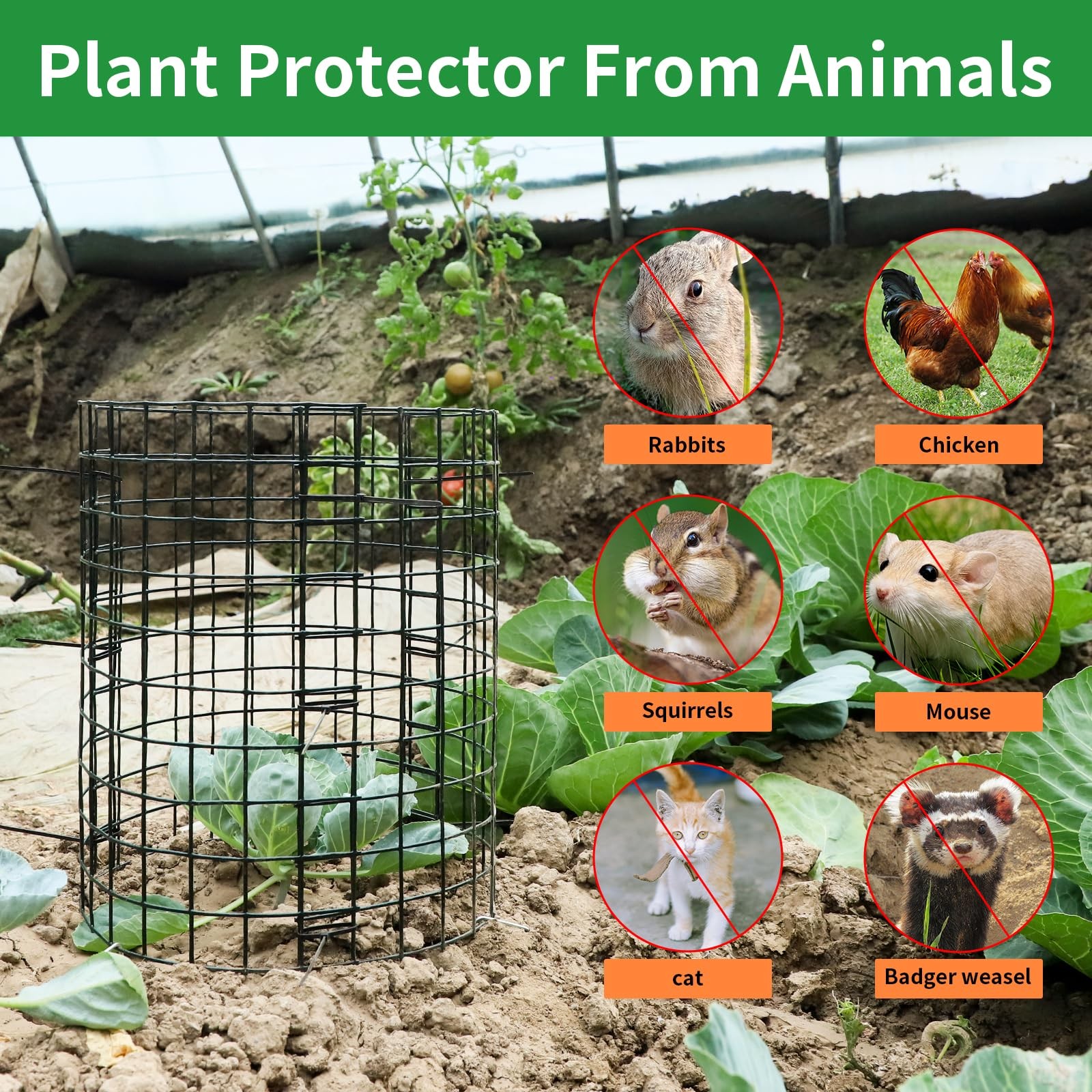 Lapeqqiojej 5 Pack Plant Protector From Animals 24X12 Inches Wire Plant