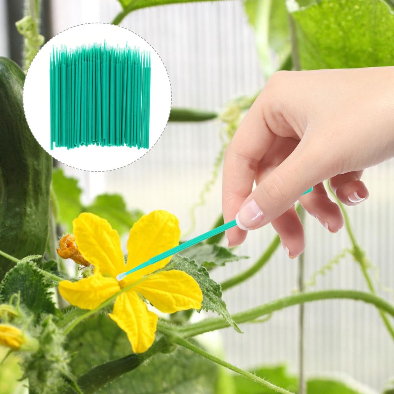 Vegetable Pollinator Tool Manual Hand Pollination Stick for Fruit and Garden …