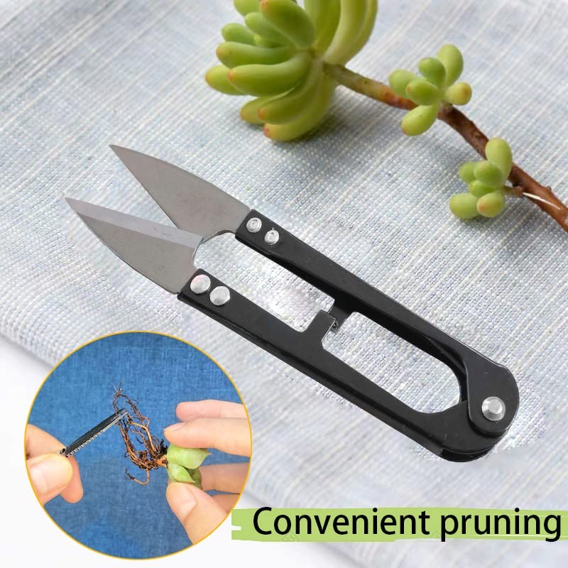 12 Pcs Succulent Tools Set Mini Transplanting Garden Tools Kit for 12 PCS Tools