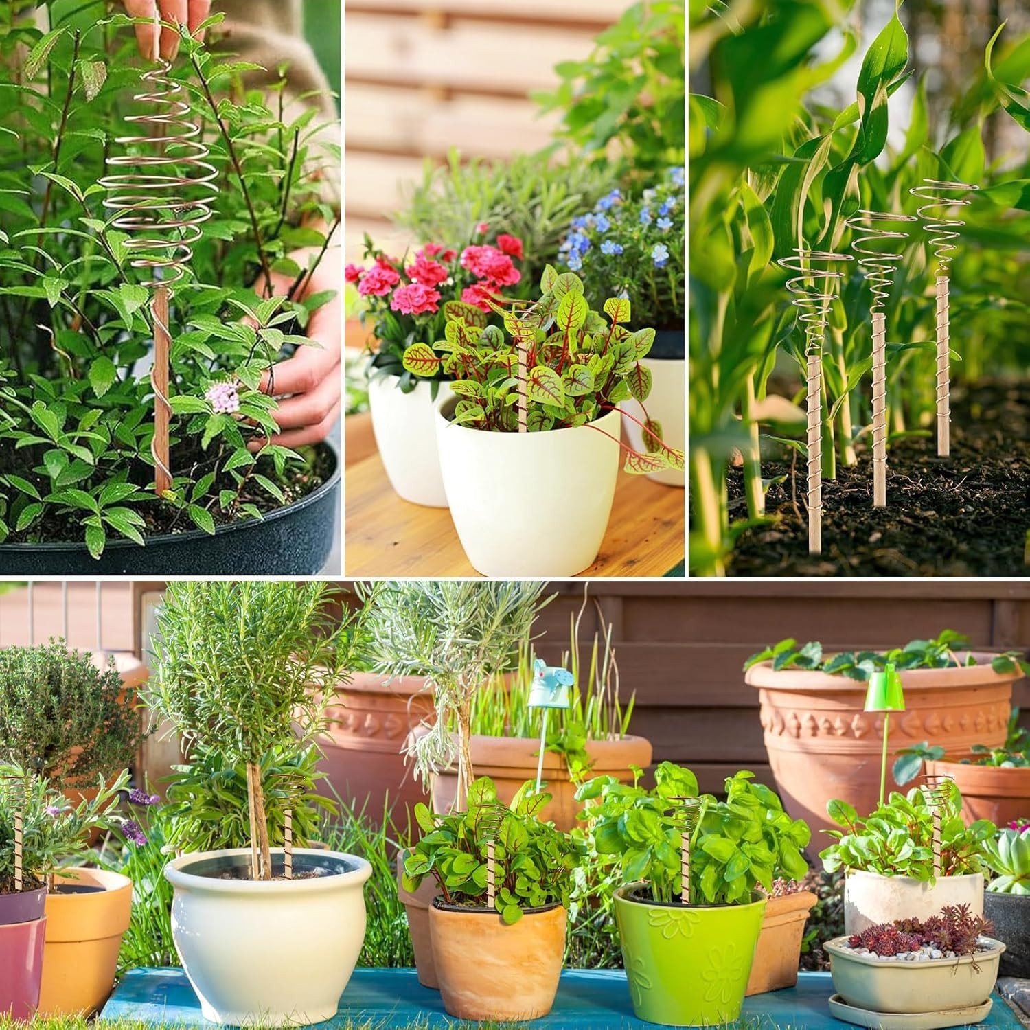 Complete Electroculture Gardening Set: Copper Antenna Kit for Healthier Plants