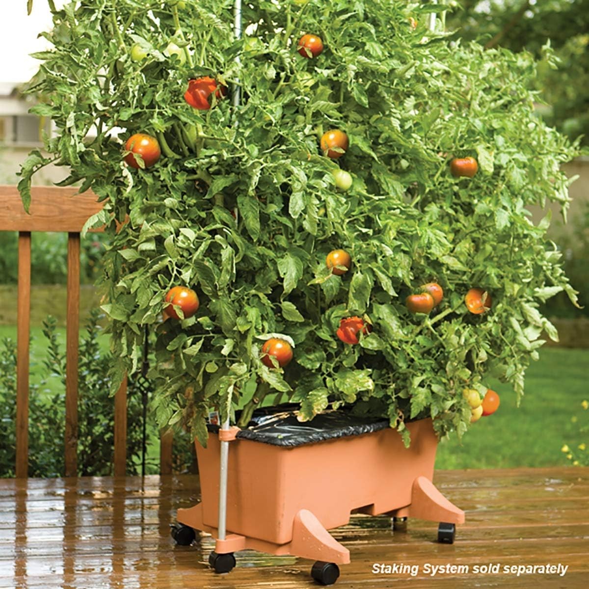 Gardening Kit Terracotta with Aeration Screen and Mulch Covers