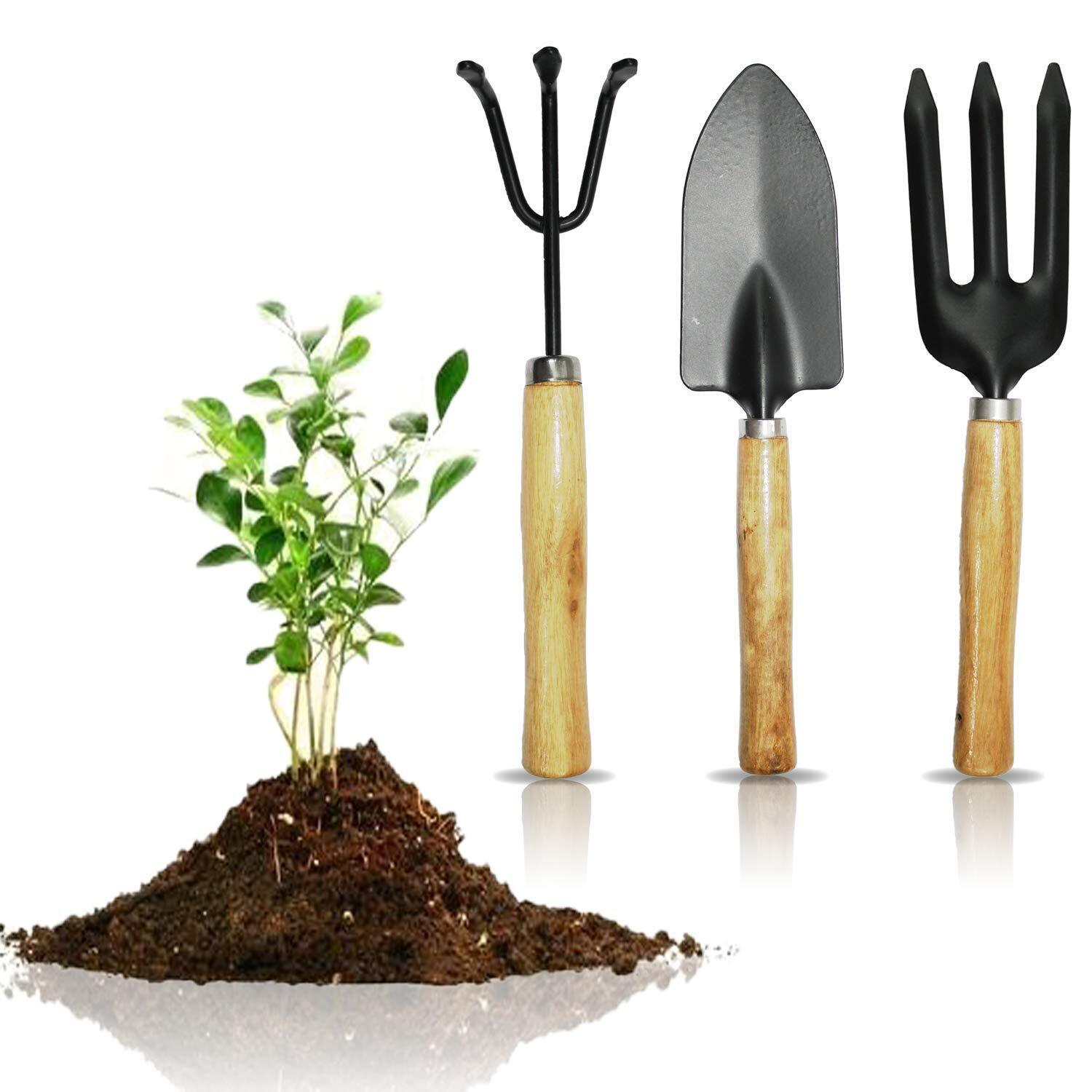 Gardening Tool Set: Mini Wood Handle Cultivator, Gardening Trowel, Garden Fork