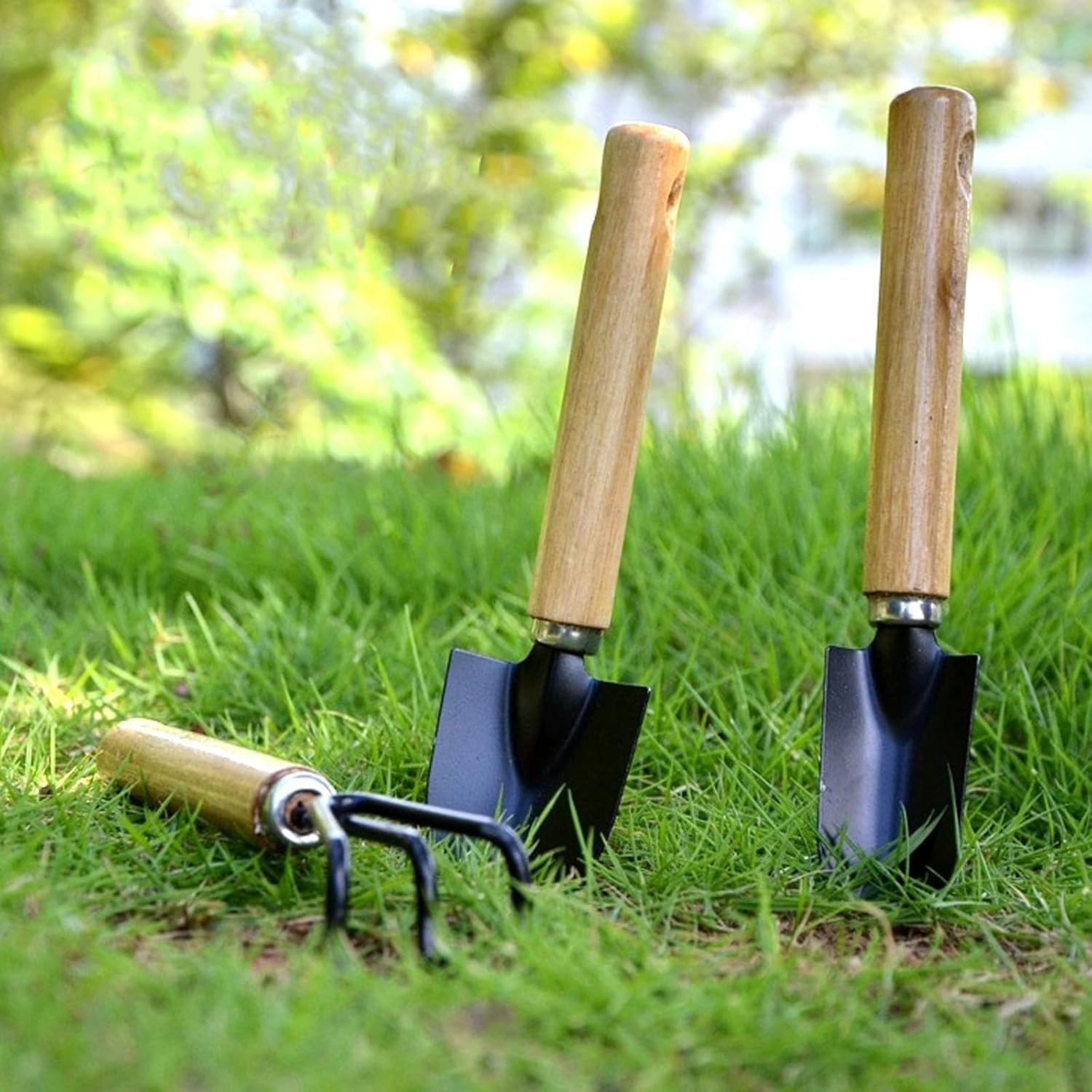 3 Pcs Mini Garden Tools Set Shovel Trowel Rake for Succulent Bonsai Plants