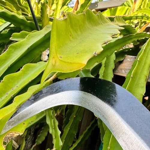 Carbon Steel Billhook Sickle Machete Knife – Garden Tool for Weeding & Harvestin