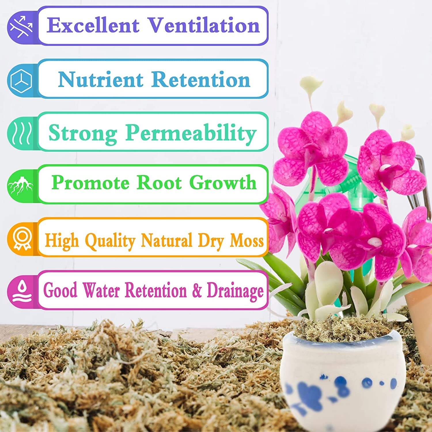 Legigo 3.5Oz Premium Sphagnum Moss Potting Mix- 4 Qt Natural Succulent