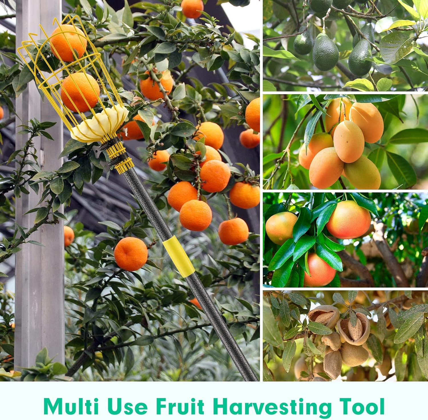 66″ Long handle Fruit apple mango orange picker grabber Catcher tool Big Basket