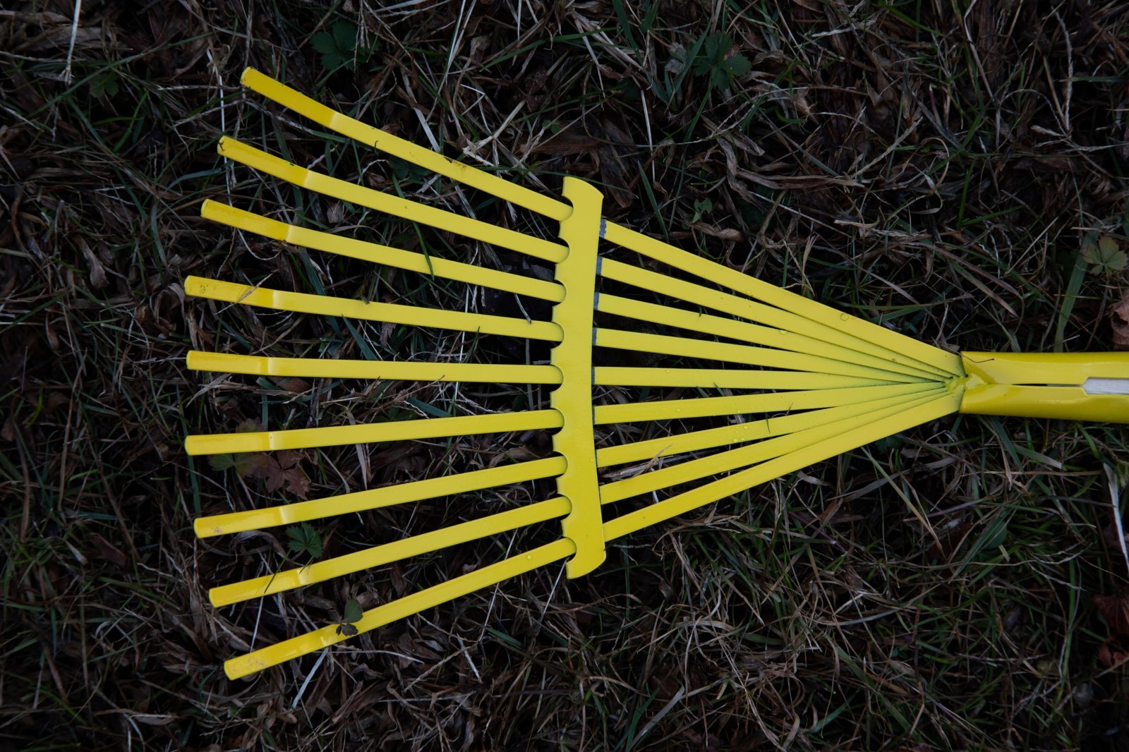 Kids Garden Tool Set – 4-Piece Toy Rake, Spade, Hoe & Leaf Rake, Steel & Wood, 5