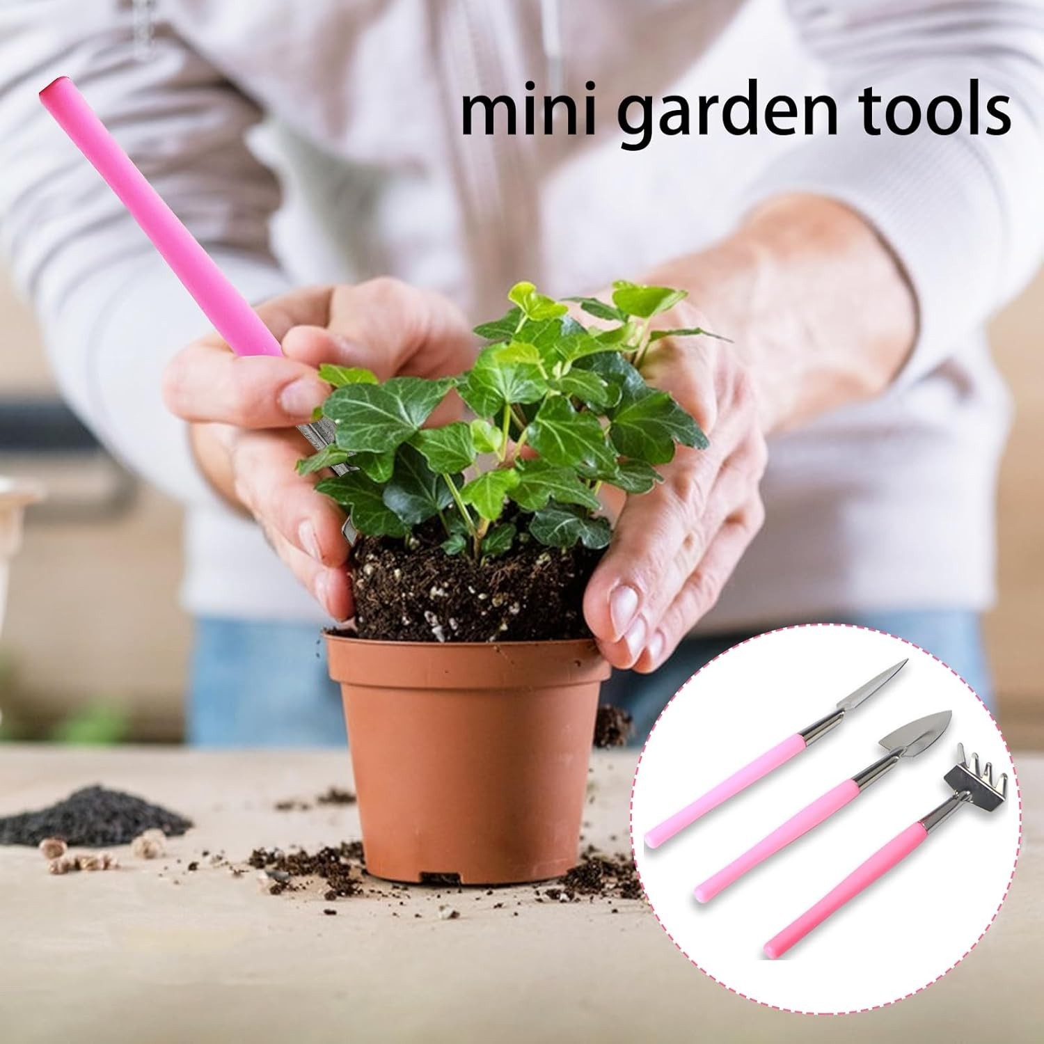 Mini Gardening Tools, 3Pcs Stainless Succulent Tools Kit Shovel Rake Trowel, …