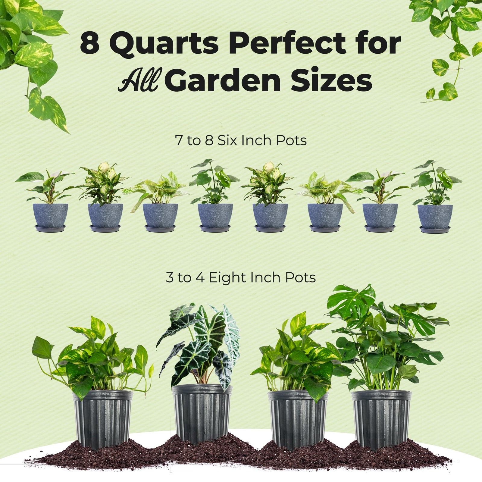 Organic Aroid Potting Mix By Perfect Plants Chunky Gardening Medium For