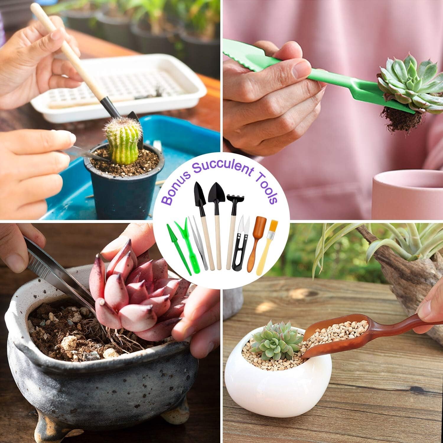 Multi-functional 83-Piece Garden Tool Set with Succulent Tools & Organizer