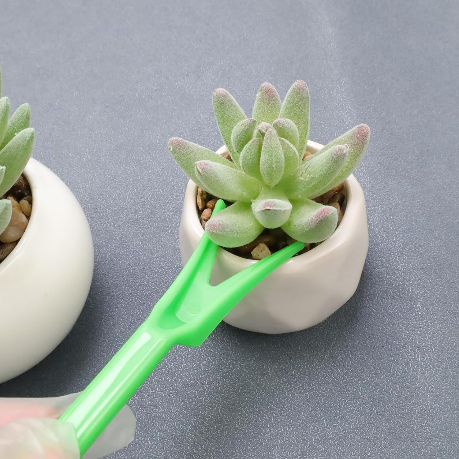 Mini Garden Hand Succulent Transplanting Tools for Indoor Gardening Plant Care,